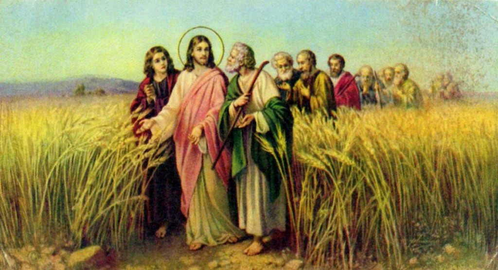 The-Parable-of-the-Weeds-in-the-Field