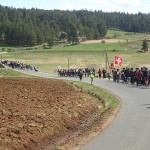 report_jubile_160325_pb_16