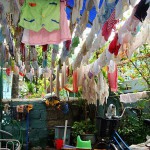 291851_251000998254270_5545267_n