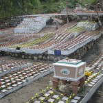 293619_250997198254650_5463273_n