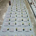 318742_258573634163673_3639601_n