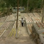 tong-phuoc-phu6b-620x518