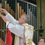 report_lourdes2017_01_12