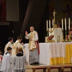 report_lourdes2017_01_20