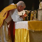 report_lourdes_2018_08_07