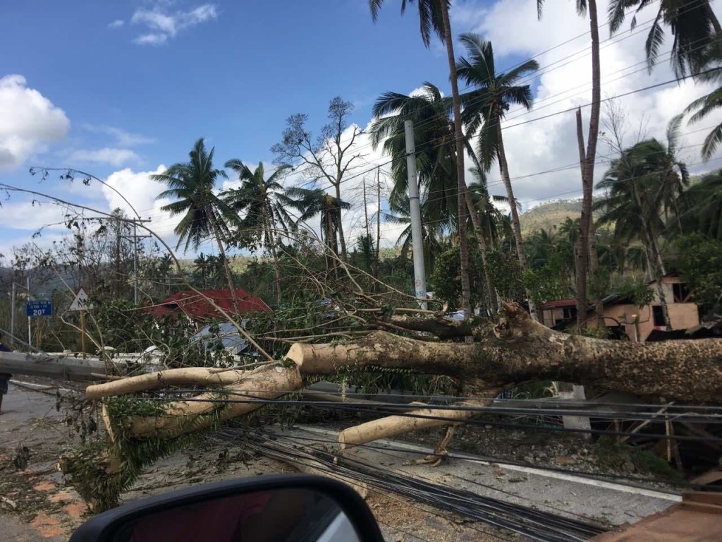 269303436_4813306542067480_2783208017580523121_n