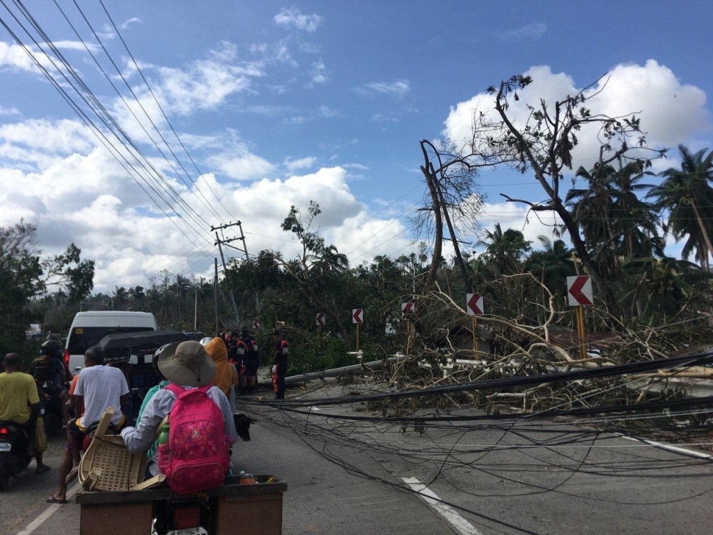 269747280_4813306195400848_5832909174771814367_n