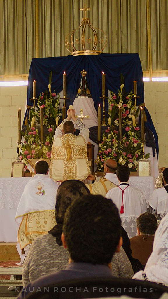 0013115A_Easy-Resize.com