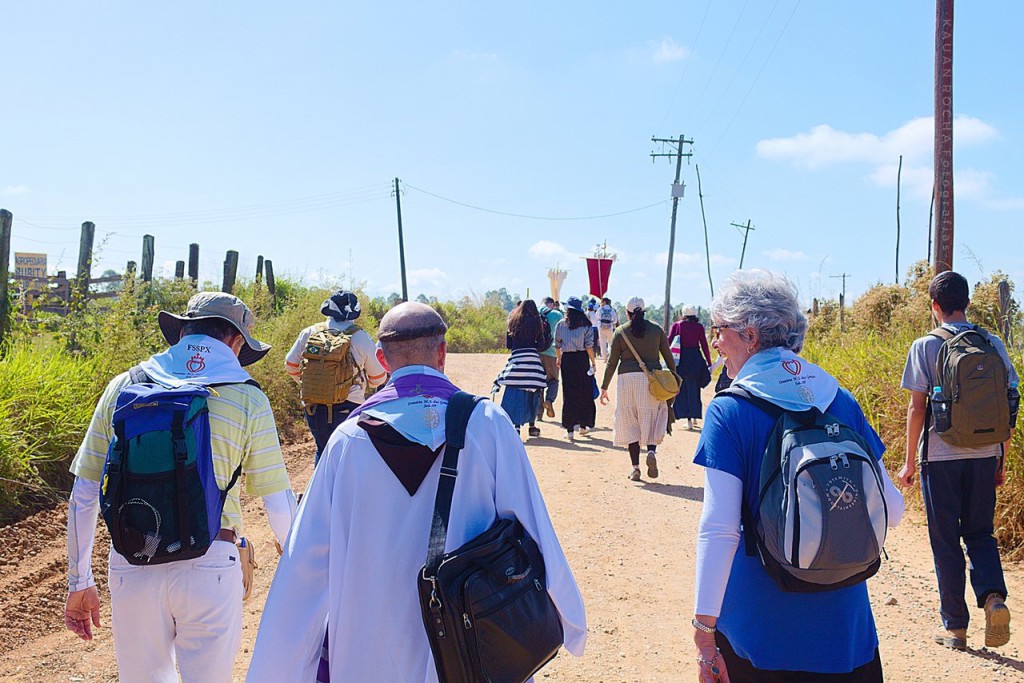 013038_Easy-Resize.com