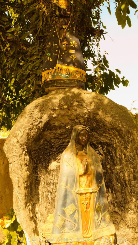 013065_Easy-Resize.com